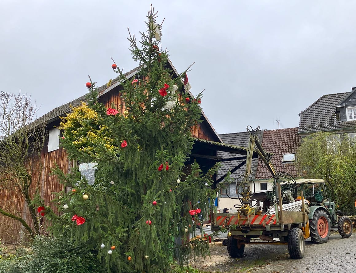Weihnachtsbaum-Setzen 2026
