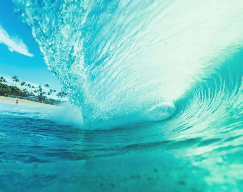 A turquoise wave curls and breaks beside a sandy tropical shoreline with palm trees in the distance under a bright blue sky and calm water.