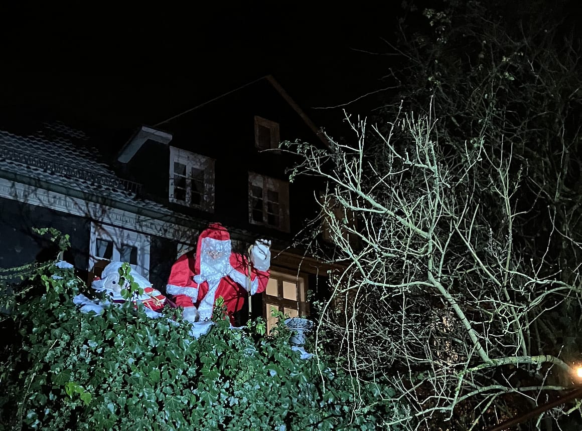 DSGE stellt Weihnachtsbaum auf DSGE stellt Weihnachtsbaum auf